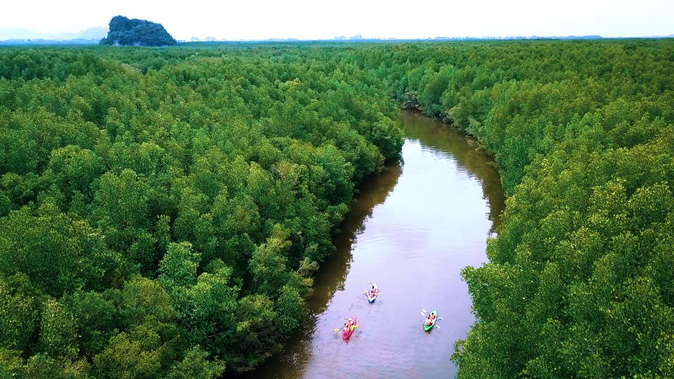 Ao Nang: Kayak Tour in Krabi Mangrove Forest With Lunch - Location and Ratings