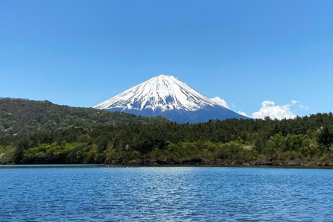 Aokigahara Nature Conservation Full-Day Hiking Tour - Reviews and Ratings Overview