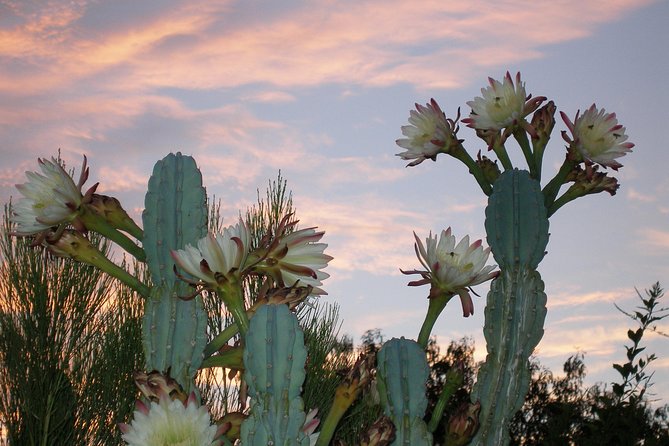 Apache Trail and Dolly Steamboat Van Tour - Last Words