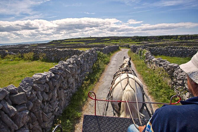 Aran Islands & Cliffs of Moher Including Cruise Day Tour Departing From Limerick - Refund and Rescheduling Policy