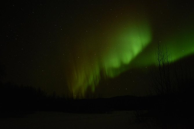 Arctic Circle and Northern Lights Tour From Fairbanks - Aurora Viewing Experience