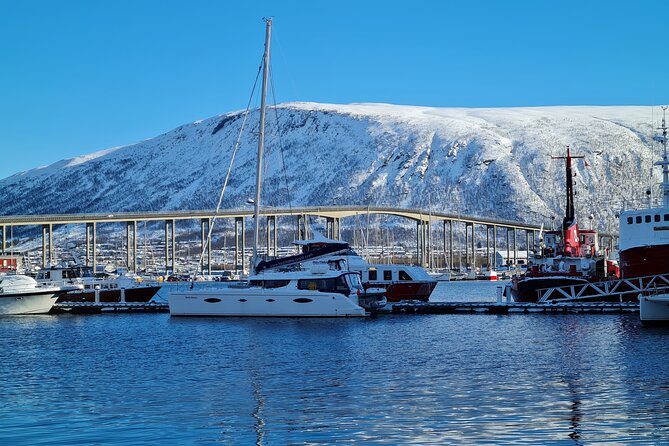 Arctic Fjordcruise & Safari in Tromso With Luxury Catamaran - Weather Dependency Considerations