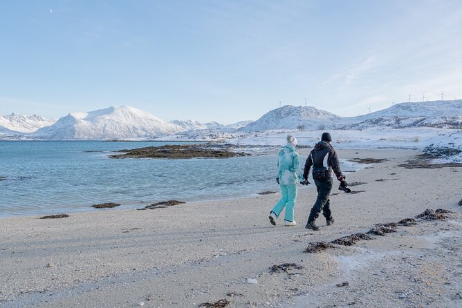 Arctic Roadtrip: Fjords With Scenic Picnic Sightseeing - Logistics and Meeting Information