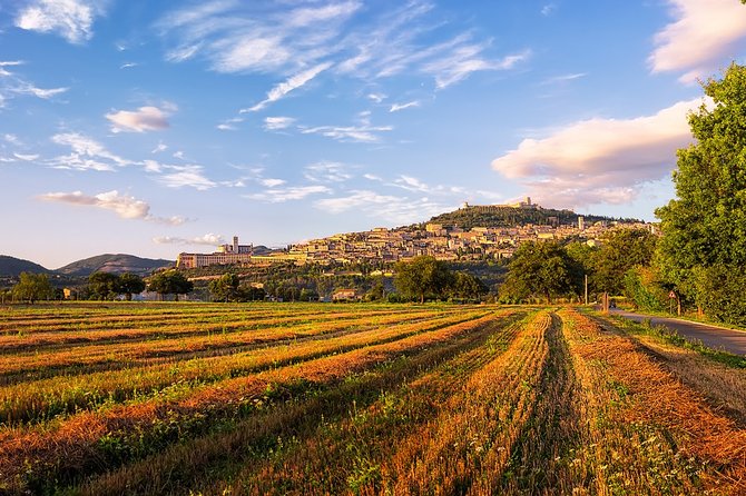 Assisi Best Highlights a Private Tour With Licensed Tour Guide - Reviews and Ratings