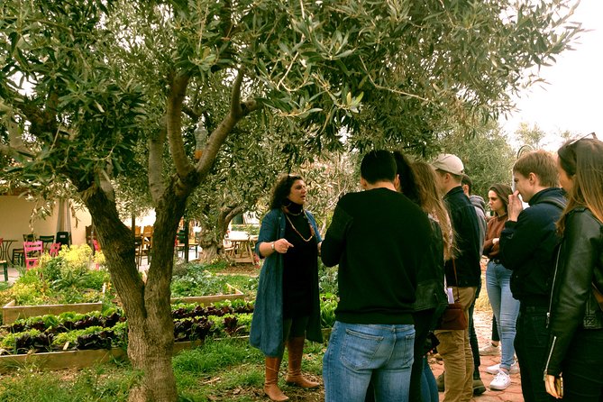 ATHENS OLIVE ESTATE - OLIVE Oil Workshop With Farm-To-Fork Lunch - Traveler Engagement Opportunities