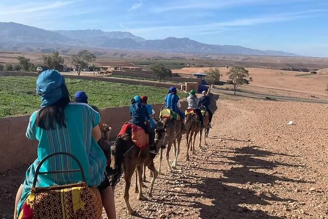 Atlas Mountains Three Valley and Berber Villages & Watterffalls Day Tour - Traveler Tips