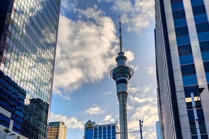 Auckland City Highlights Full Day Tour - Customer Reviews