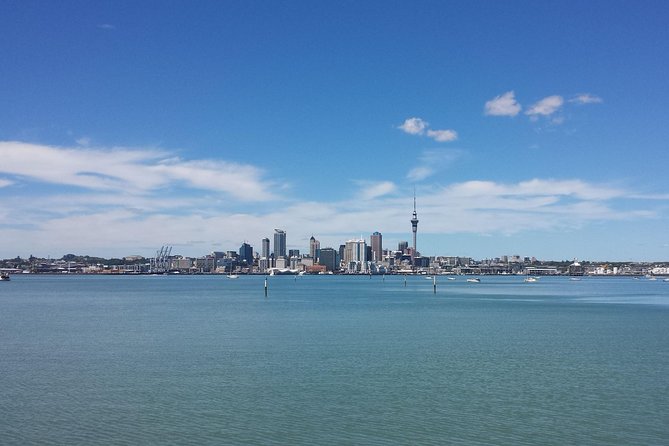 Auckland City Small-Group Morning Discovery Tour - Tour Itinerary
