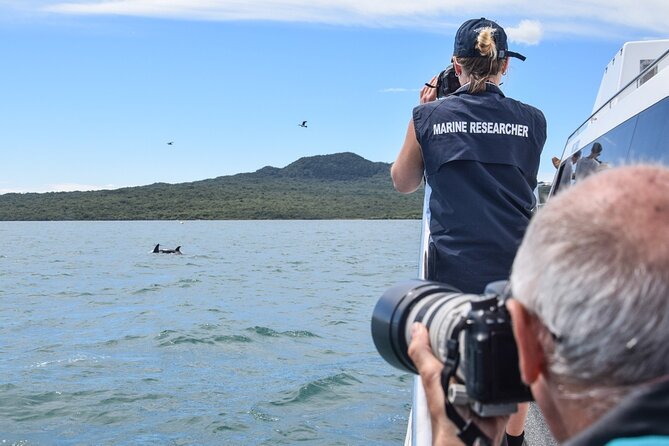 Auckland Dolphin and Whale Watching Eco-Safari Cruise - Tour Experience Details