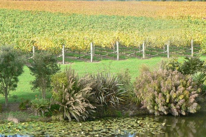 Auckland Shore Excursion: West Coast Wineries Tour - Winery Tour Details