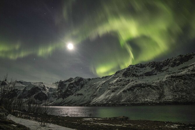 Aurora Chase With Professional Photographers (Northern Lights) - Traveler Photos and Reviews
