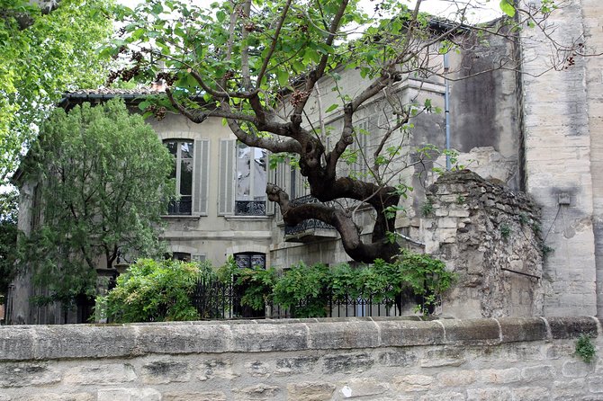 Avignons History, Local Culture & the Wines of Châteauneuf Du Pape Private Tour - Convenient Pick-up Options Available