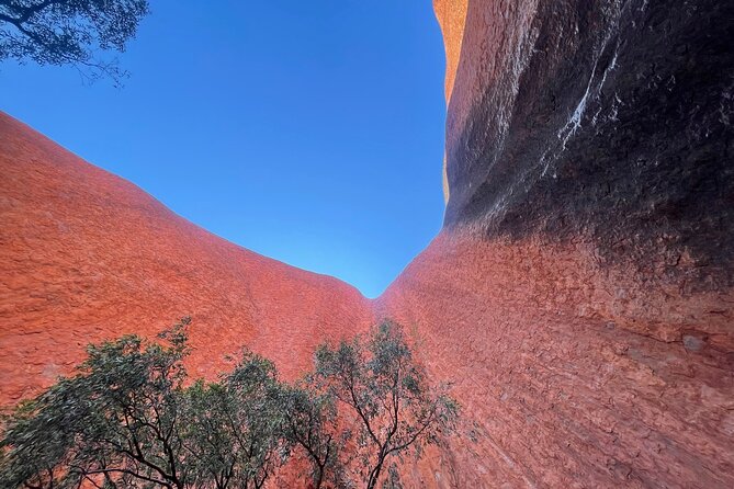 Ayers Rock Uluru Private Tour - Safety and Guidelines