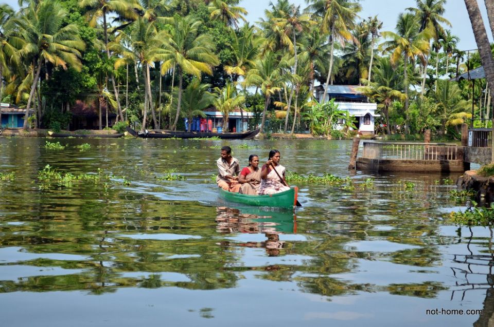 Backwater Houseboat and Fort Kochi Tour From Cochin Port - Important Information for Participants