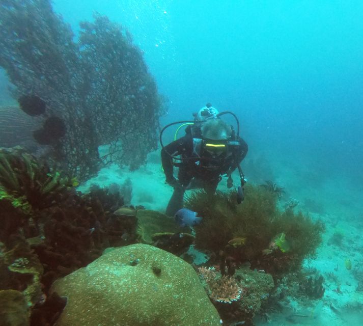 Bali: 2-Day PADI Advanced Open Water Course - USAT Liberty Shipwreck Exploration