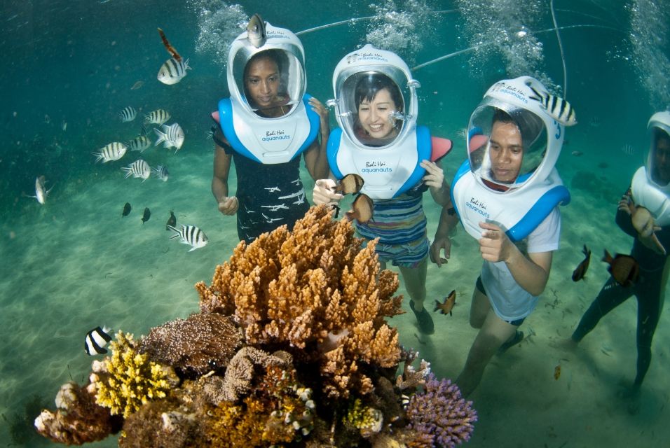 Bali Benoa: Lembongan Reef & Water Activities Day Cruise - Recommendations