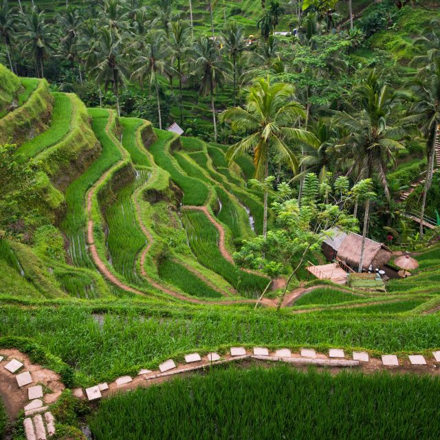 Bali Bliss: Tropical Escape & Cultural Wonders Tour - Itinerary Details & Inclusions