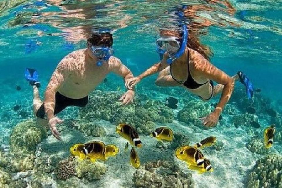 Bali Blue Lagoon Snorkeling With Lunch and Private Transfer - Lunch and Transfers Included