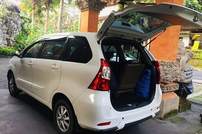 Bali Car Hire With Driver - Traveler Experiences and Highlights