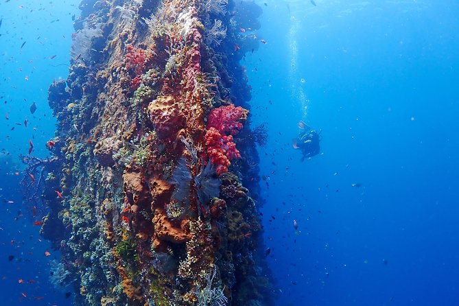 Bali Diving for Beginners: Tulamben Liberty Wreck - Additional Tips and Information