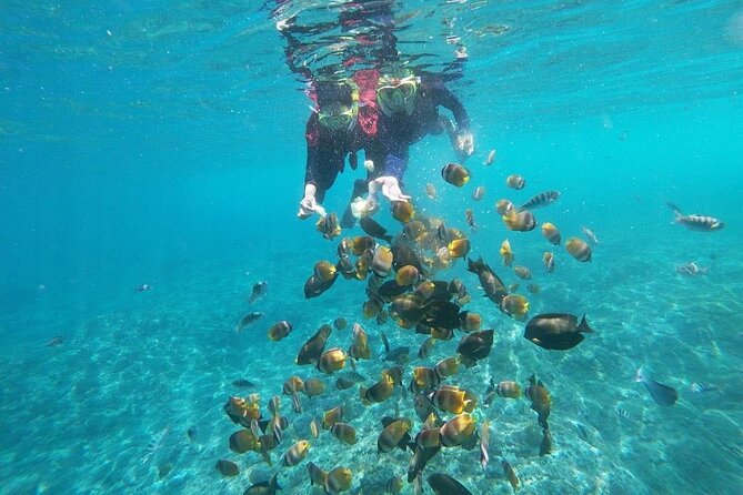 Bali Private Snorkeling (Manta, Gamat, Crystal) and Nusa Penida Tour - Additional Resources