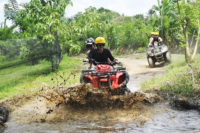 Bali Quad Bike Through Gorilla Cave - Monkey Forest and Waterfall - Cancellation Policy Details