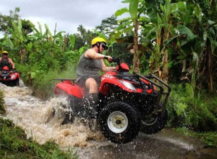 Bali: Ubud ATV and Blue Lagoon Snorkeling Tour With Lunch - Snorkeling and ATV Adventure