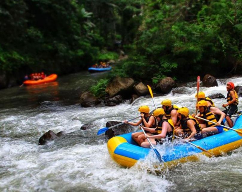 Bali: White Water Rafting & Cycling Tour - All Inclusive - Local Cultural Insights