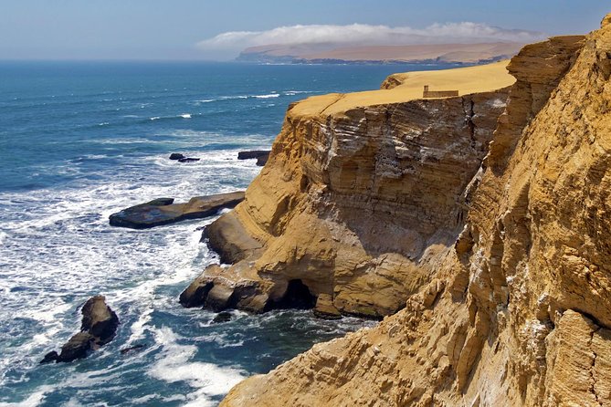 Ballestas Islands and Paracas Reserve From San Martin Port - Directional Guide