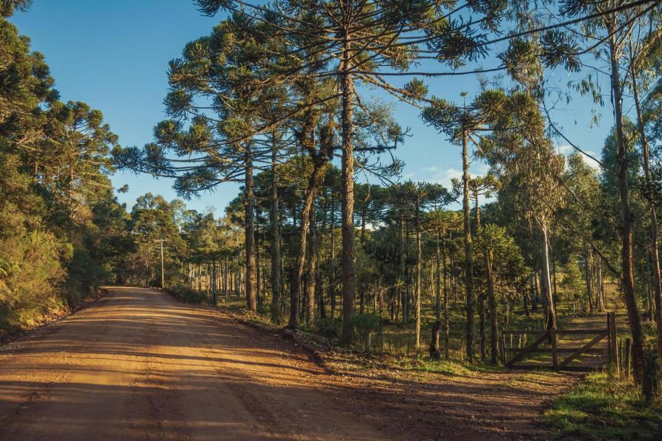 Balloon Flight and Quadbike Experience in Cambara Do Sul - Common questions