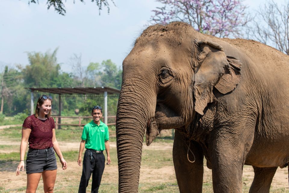 Bangkok: Elephant Sanctuary & Erawan Waterfall Tour - Traveler Reviews