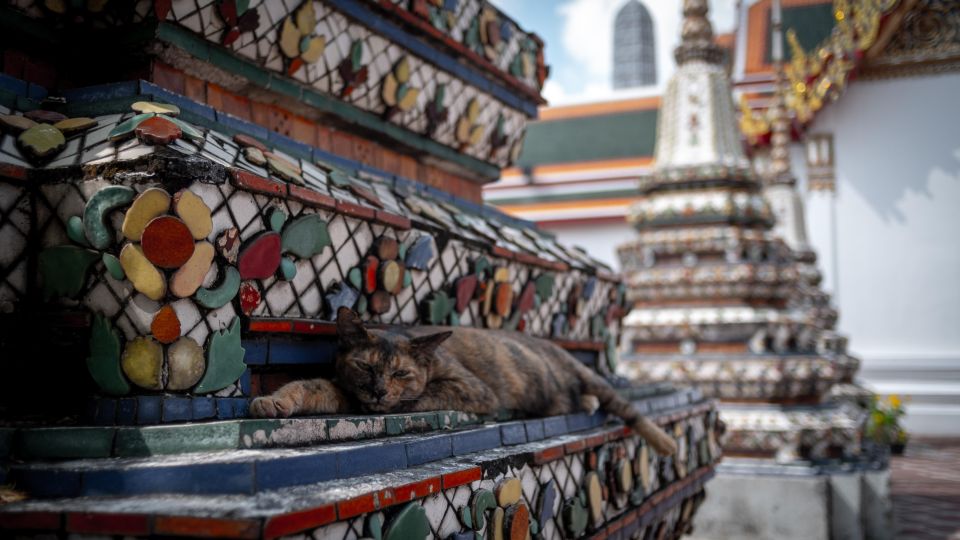 Bangkok: Grand Palace, Wat Pho and Wat Arun - Common questions
