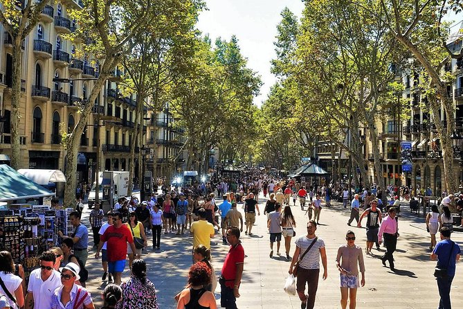 Barcelona: Old Town, Montjuic Castle & Cable Car Small Group Tour - Duration, Group Size, and Experience