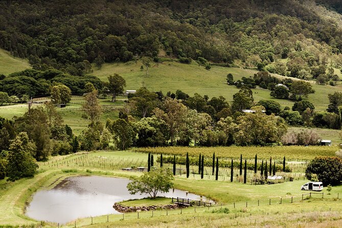 Barefoot Luxury Mount Tamborine Winery Tour From Brisbane - Scenic Views and Enjoyable Tastings