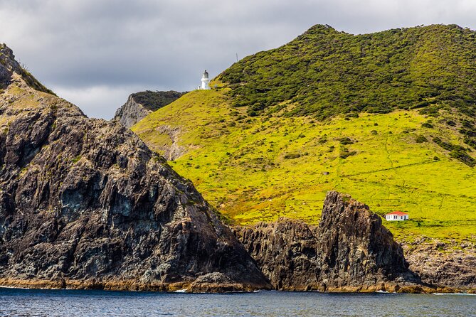 Bay of Islands Cruise & Island Tour - Snorkel, Hike,Swim,Wildlife - Customer Recommendations