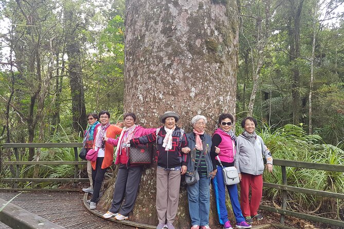 Bay of Islands Shore Excursion: Puketi Rainforest Guided Walk - Tour Duration