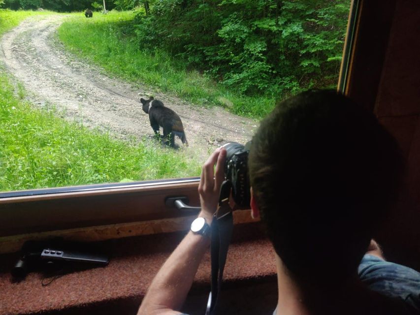 Bear Watching in the Wild Brasov - Meeting Point Details
