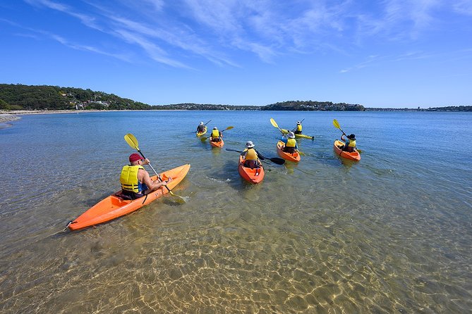 Beginners Kayak Tour in Sydney - Gorgeous Aussie Beaches and Bays - Reviews and Ratings