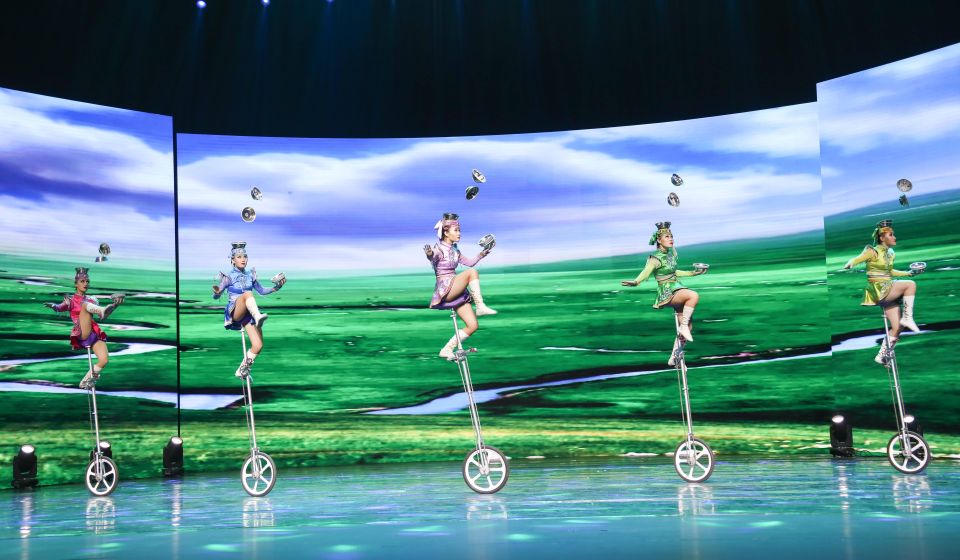 Beijing Night Tour With Acrobatics Show & Pekingduck Dinner - Additional Information