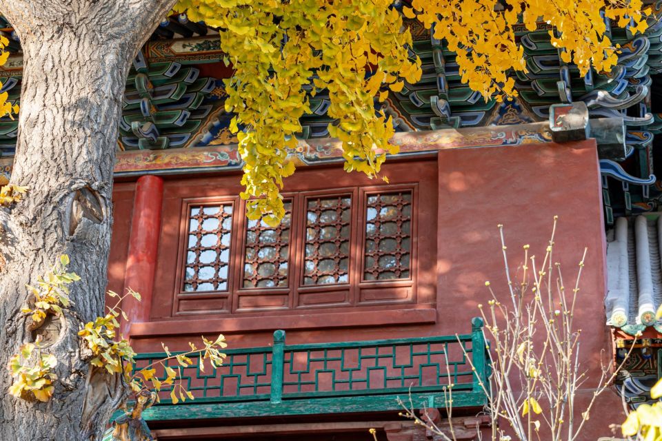 Beijing's Hidden Delights: Dong Si Hutong Food Tour - Itinerary Overview and Experience Highlights