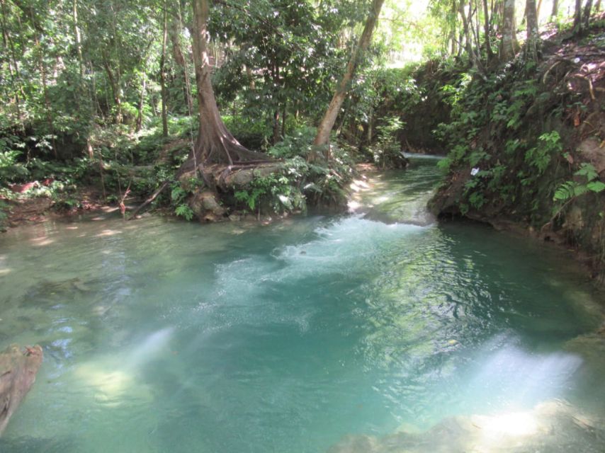 Benta River and Falls With Rick's Cafe Private Tour - Pricing Details