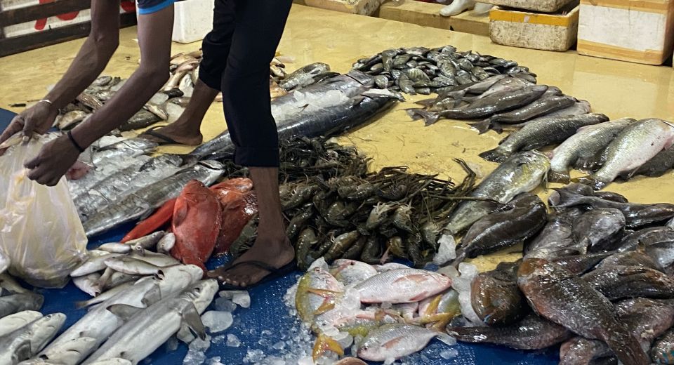 Bentota: Colombo Fishmarket and City Tour - Tour Duration