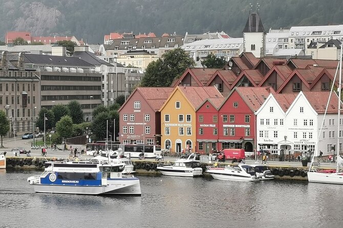Bergen Fjord Cruise to Alversund Streams - All Year - Important Tips and Recommendations