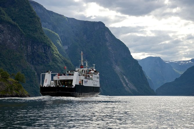 Bergen to Sognefjord Private Roudtrip With Cruise and Flasmbana - Traveler Insights