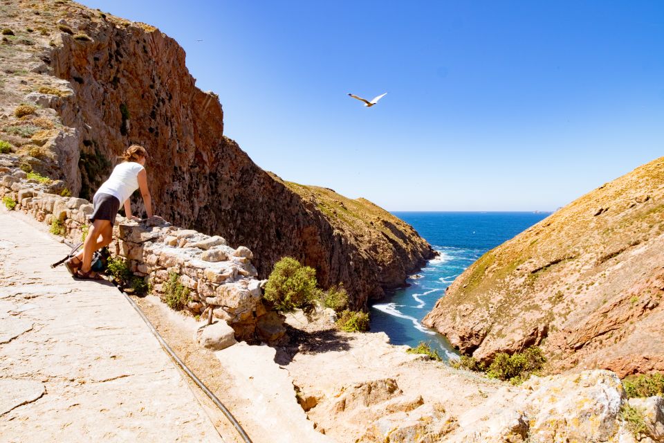 Berlengas the Atlantic Frontier: Day Tour From Lisbon - Additional Information