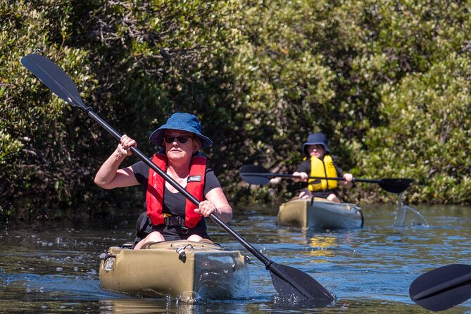 Bermagui River Kayak Tour - Additional Information