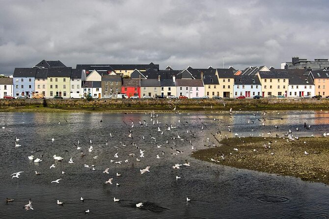 Best of Galway Private Walking Tour - Pricing and Booking Information