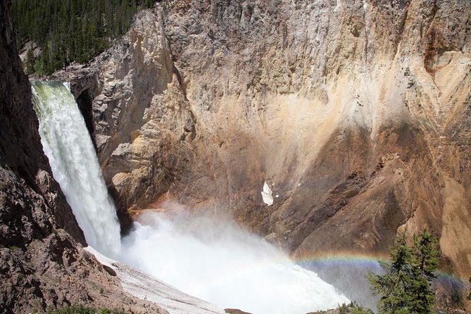 Best of Yellowstone Private National Park Safari Tour - Booking and Reservation Details