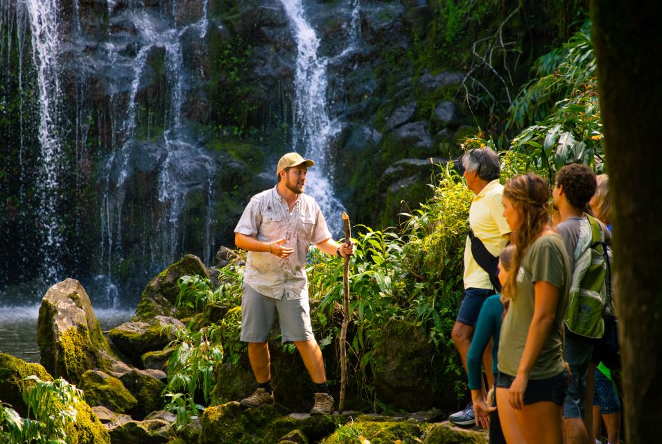 Big Island: Full Day Adventure Tour of the Kohala Waterfalls - Rating and Guest Feedback