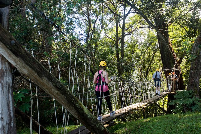 Big Island Kohala Canopy Zipline Adventure - Fun Activities & Customer Gratitude
